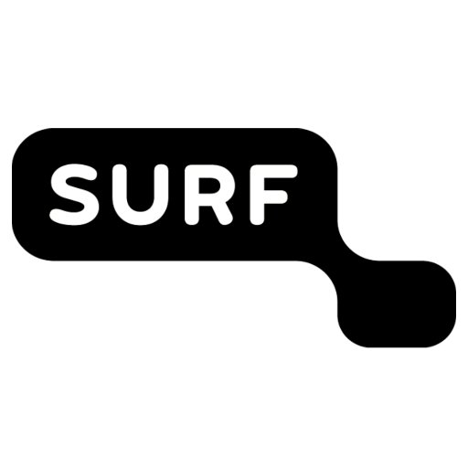 SURF - Google Training aangeboden door Binx.io